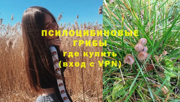 2c-b Лабытнанги