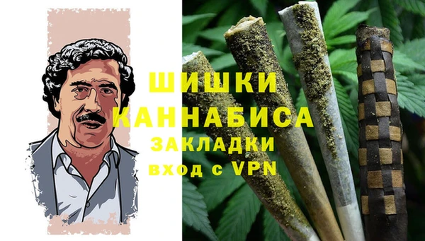 метадон Ладушкин