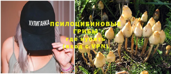 PSILOCYBIN Кулебаки