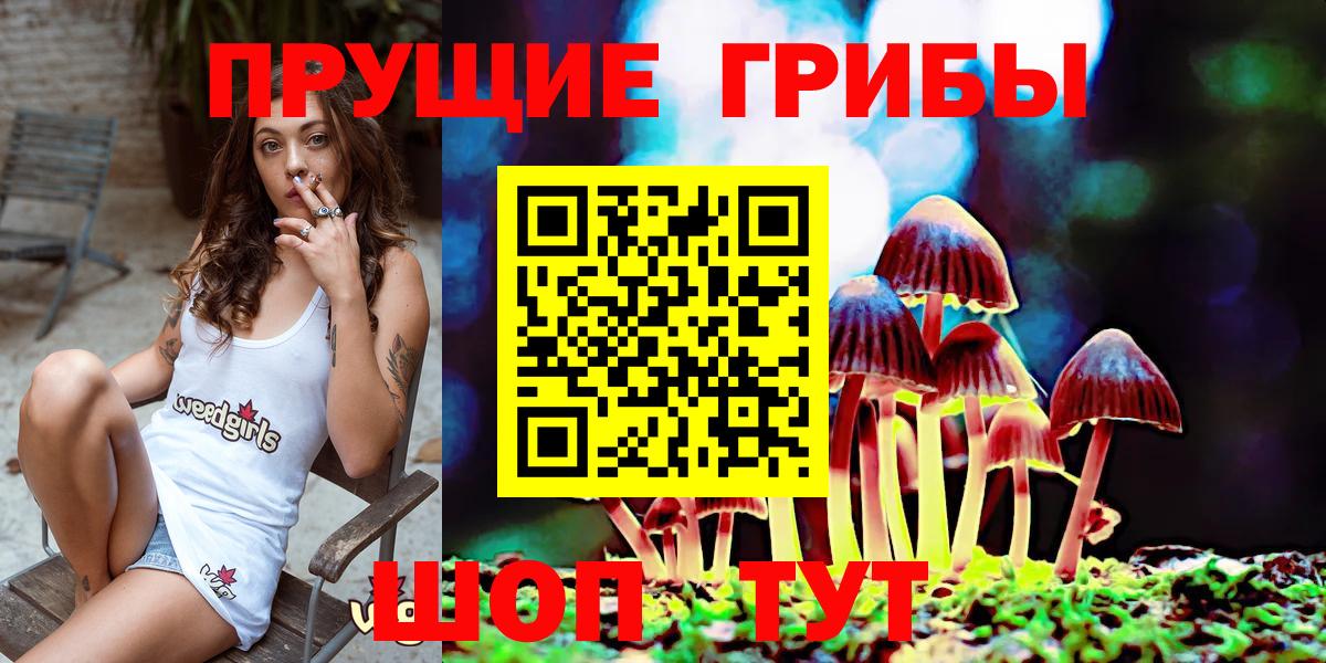 Галлюциногенные грибы ЛСД  Галлюциногенные грибы мицелий  Вход с VPN  Михайловка 
