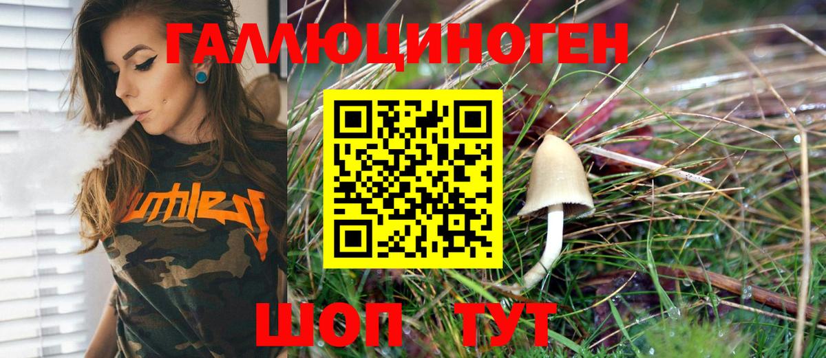 Галлюциногенные грибы Psilocybe Михайловка